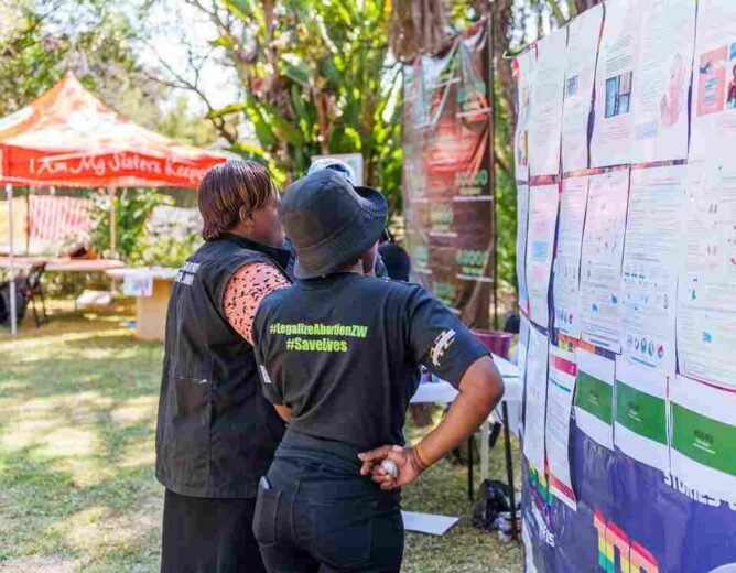 A Feminist Approach To Property Sharing: Why Zimbabwean Women Should Read Themhora Judgement.